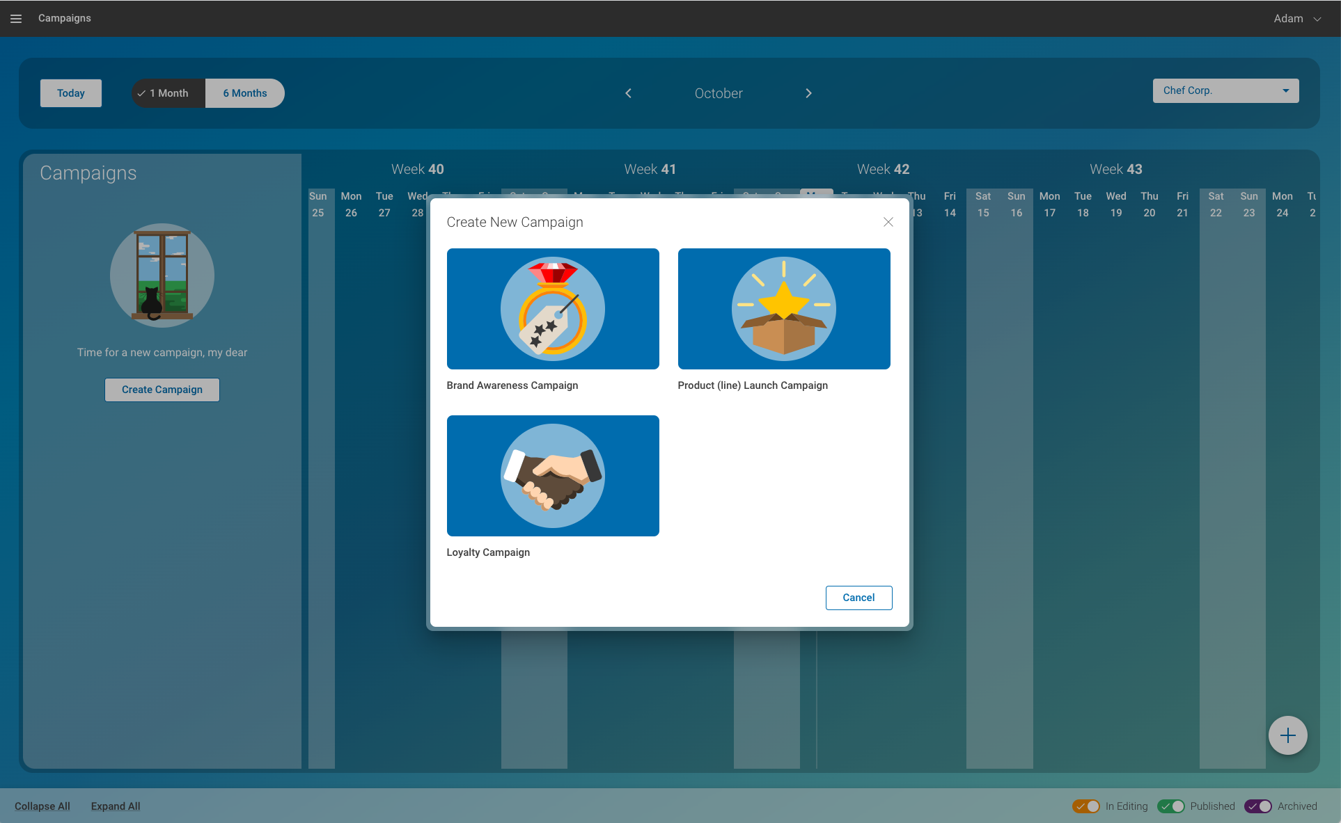 CoreMedia Campaigns screenshot
