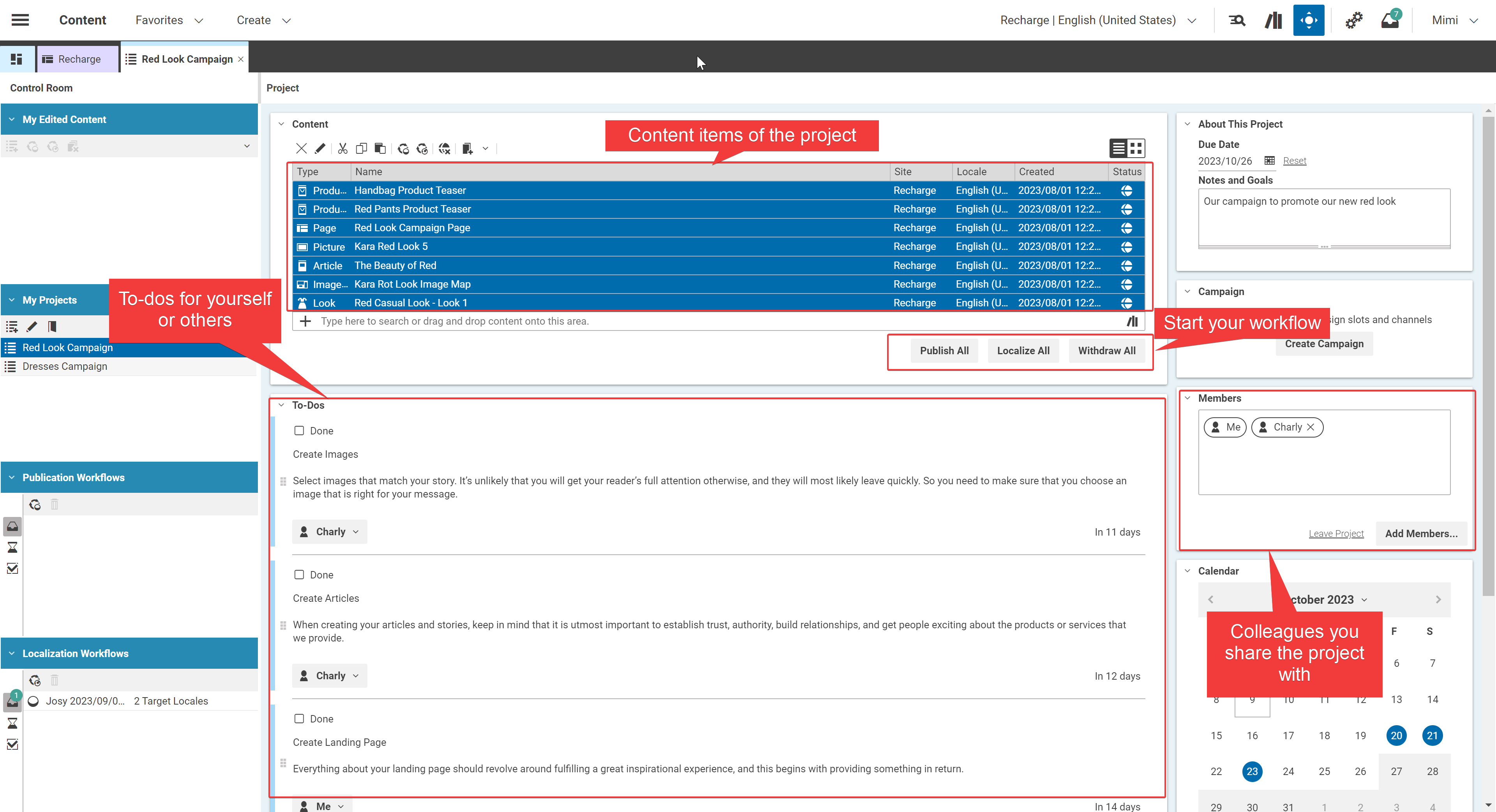 Overview of the project pane
