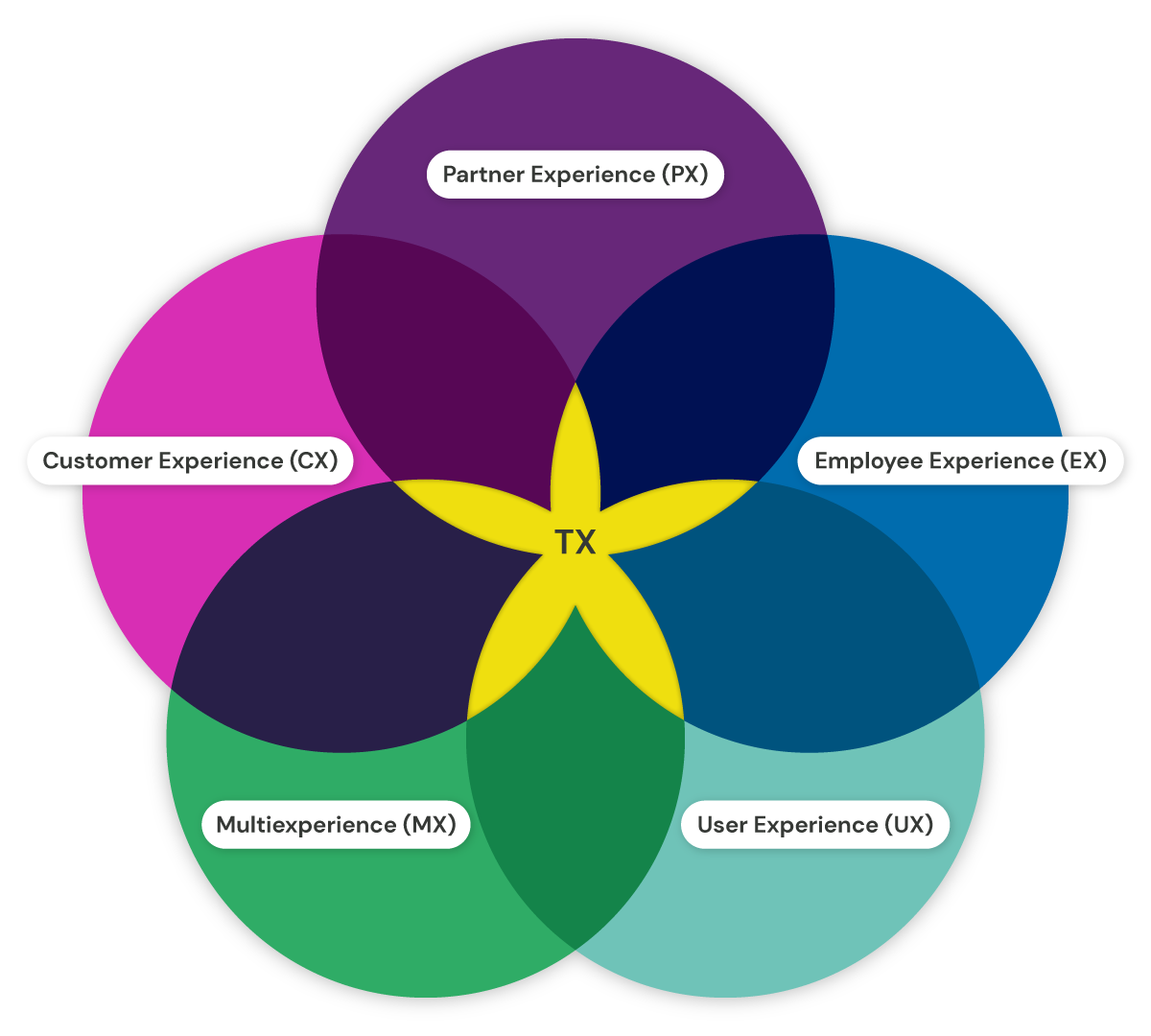 2023-11 Total Commerce Experience_VennDiagram