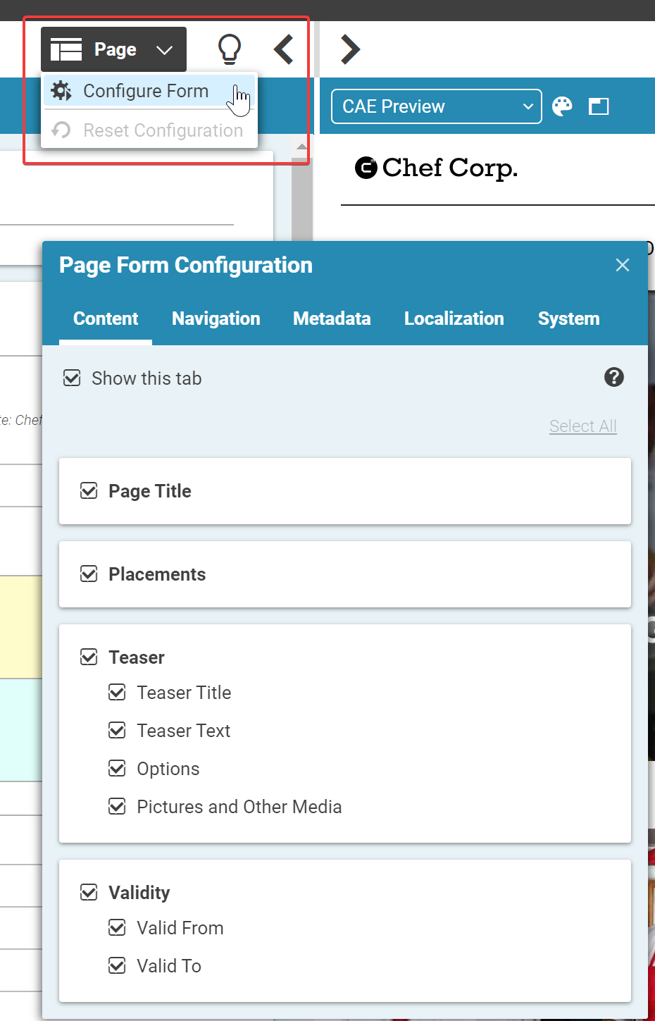 Screenshot of content item form configuration