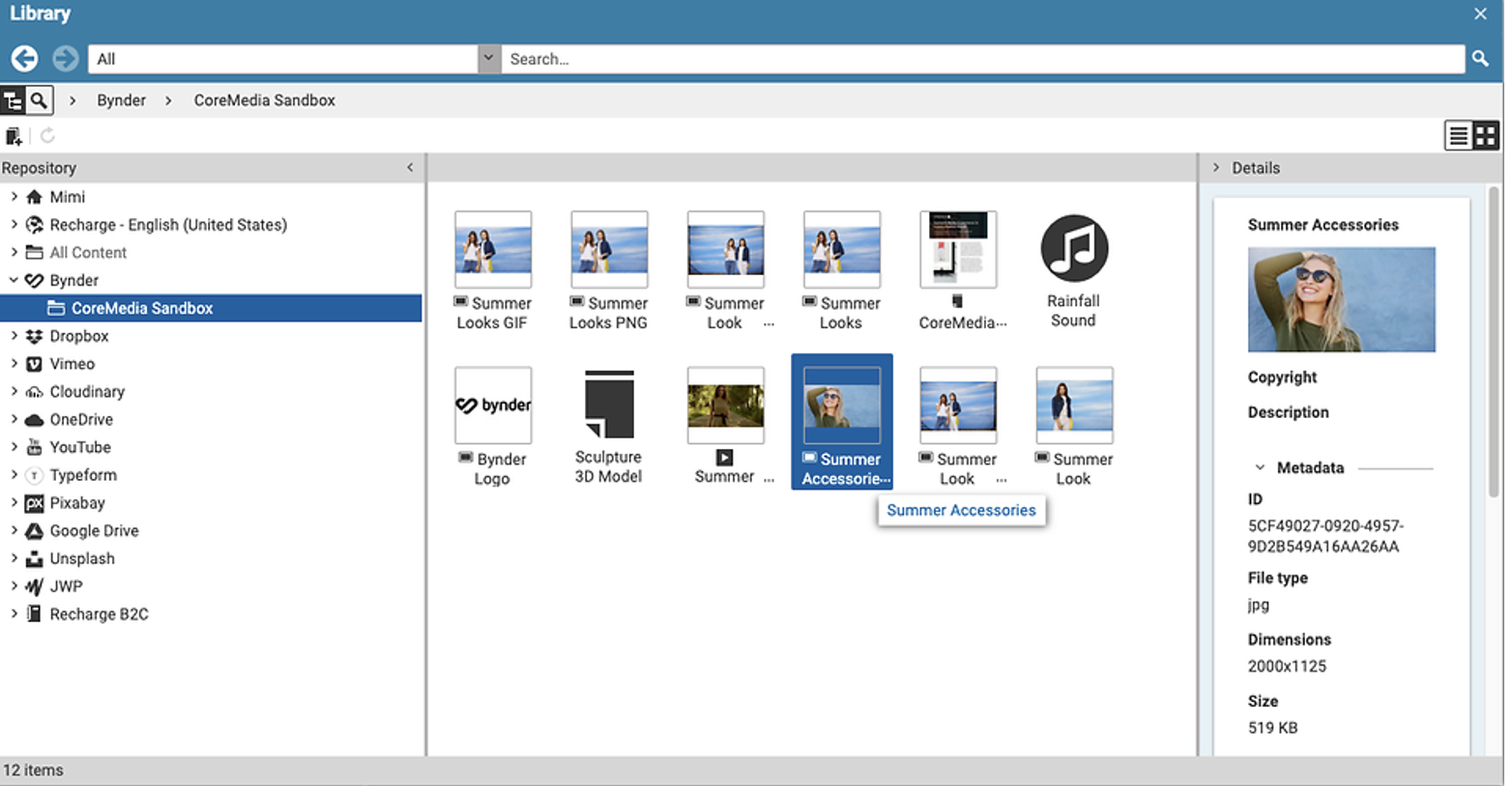 Screenshot of Example Content Hub Connector for Bynder